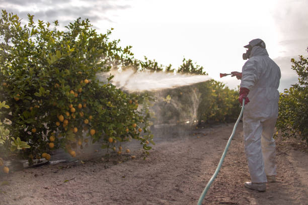 Best Local Pest Control Services  in Athens, TN