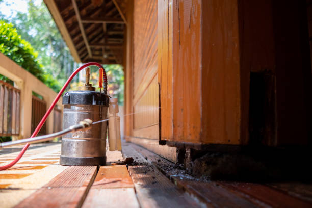 Best Mosquito Control Services  in Athens, TN