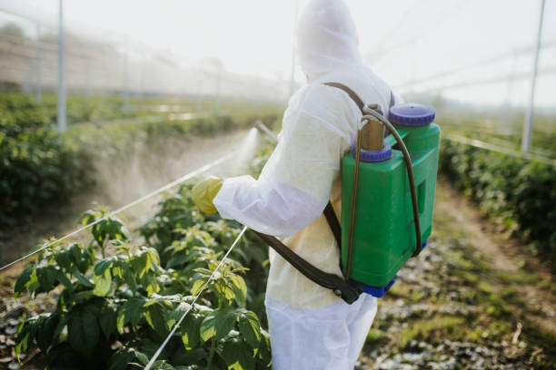Best Commercial Pest Control Services  in Athens, TN